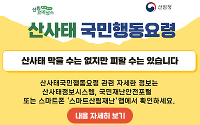 산림 르네상스 산림청/산사태 국민행동요령/산사태 막을 수는 없지만 피할 수는 있습니다./산사태국민행동요령 관련 자세한 정보는 산사태정보시스템,국민재난안전포털 또는 스마트폰'스마트산림재난'앱에서 확인하세요./내용 자세히 보기